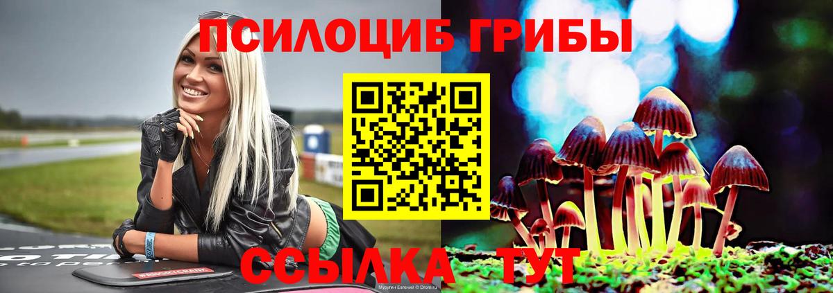 Белореченск  Галлюциногенные грибы GOLDEN TEACHER  Вход с VPN 